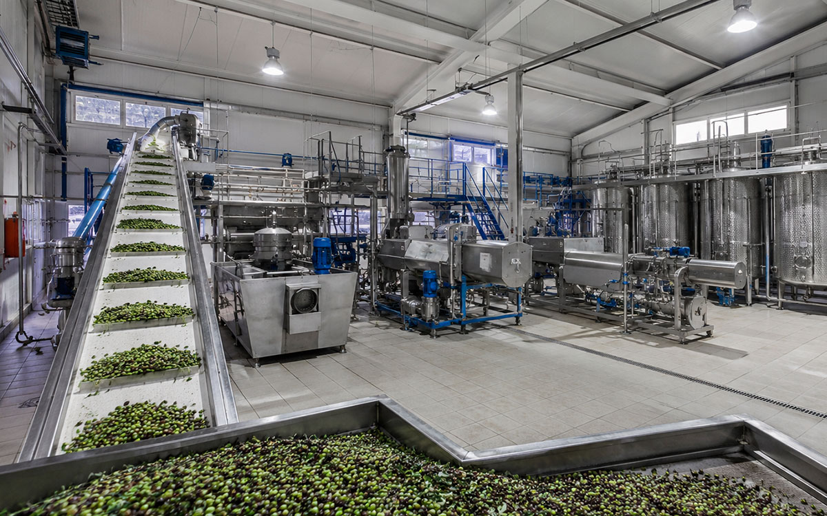 Estudio ingeniería en Cuenca para  industria agroalimentaria