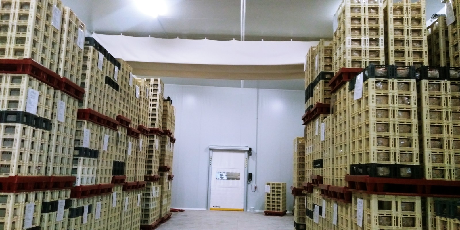 proyecto Industria láctea Santa maría del Campo Rus