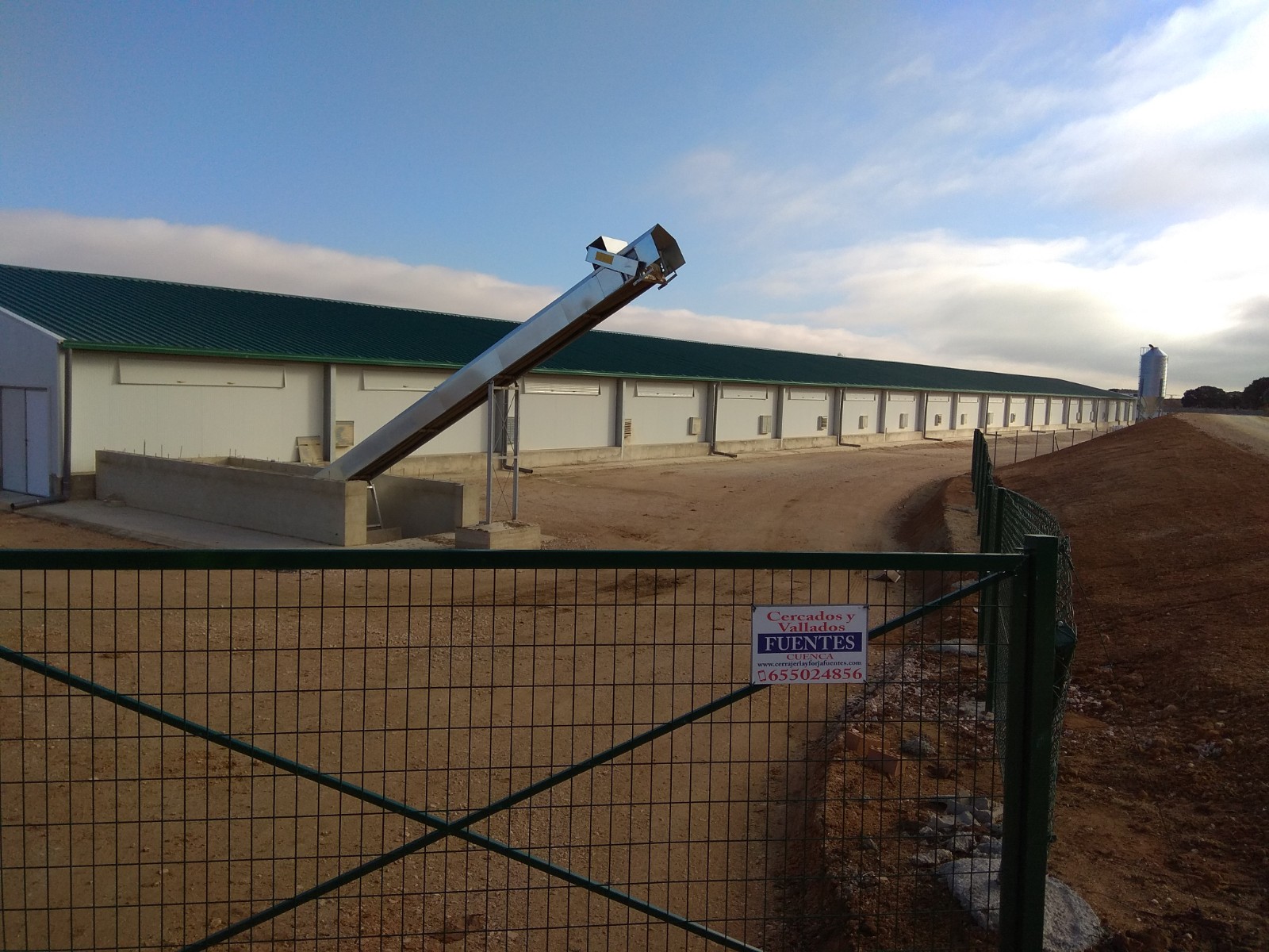 Explotación de gallinas ecológicas de puesta en Honrubia